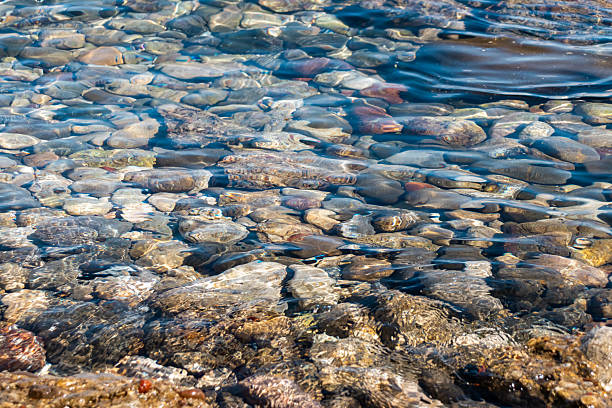 istock Ocean calm clear water and rock bottom 2240435347