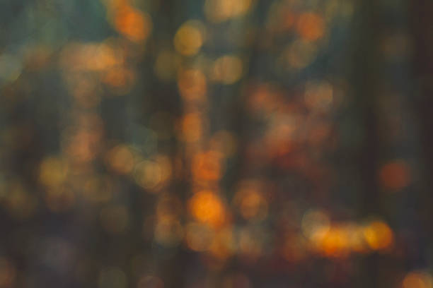 Autumn mood