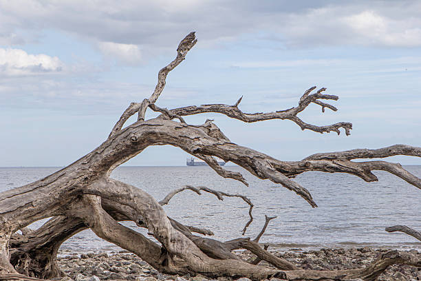 “Ein gewaltiger Sturm braut sich am Strand von Dänemark zusammen, während die letzten Strahlen des Sonnenuntergangs den Himmel in dramatische Farben tauchen. Die Wellen schlagen heftig gegen den Strand, und der Wind wirbelt den Sand auf. Der Kontrast zwischen dem stürmischen Meer und dem sanften, goldenen Licht des Sonnenuntergangs schafft eine eindrucksvolle und kraftvolle Atmosphäre.”