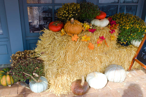 istock Street Autumn Decorations 2240438921
