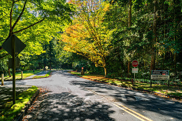 istock Autumn Park Entrance 2 2240439306