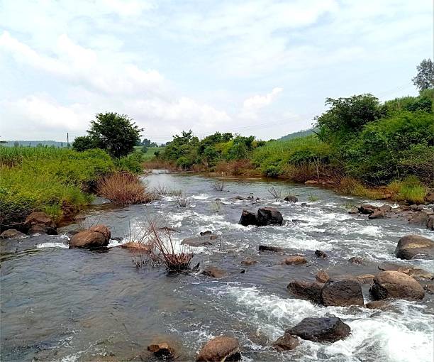 A tranquil village river winds gently through lush green fields, reflecting the blue sky and rustling trees. Birds chirp nearby, and children splash in the shallows. Fishermen cast nets, and the peaceful flow brings life, calm, and timeless beauty.