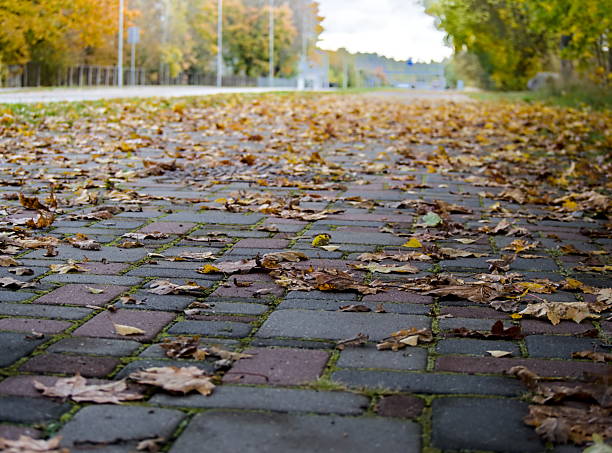 A cobblestone path with autumn leaves -  A Beautiful and Atmospheric Walkway During the Fall Season