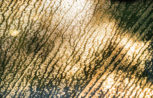 istock Close-up of morning dew on a window pane 2240442129