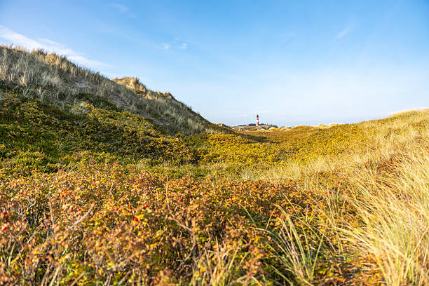Historischer Leuchtturm am Ellenbogen auf Sylt