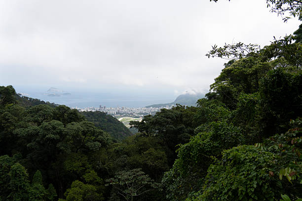 Rio de Janeiro Brazil  Panorama from the Tijuca National Park, where the Christ of Corcovado is located.