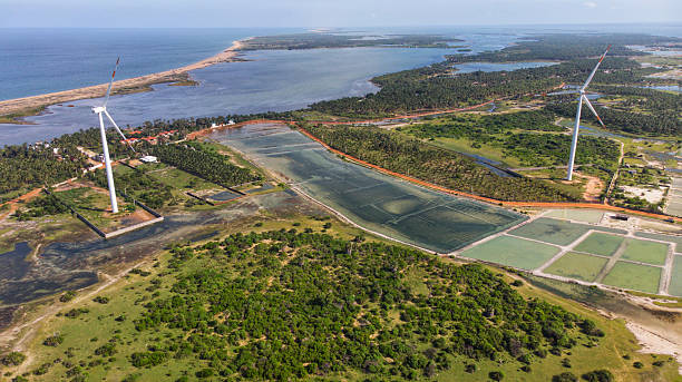 istock Wind Turbines in Kalpitiya 2240448748