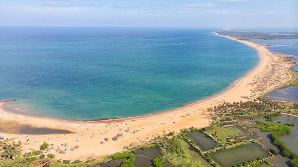 istock Aerial view of rectangular aquaculture ponds in a coastal wetland zone 2240448802