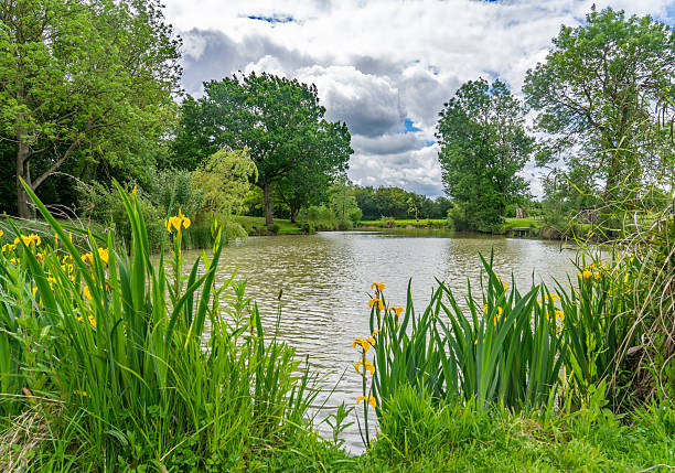 istock Tree lined lake in the countryside 2240451599
