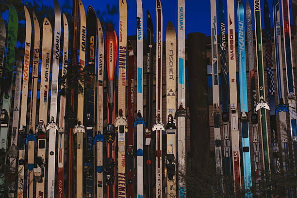 Colorful garden fence built from recycled skis, showing sustainable design, winter sports nostalgia, and outdoor creativity - perfect for eco-friendly and lifestyle concepts.