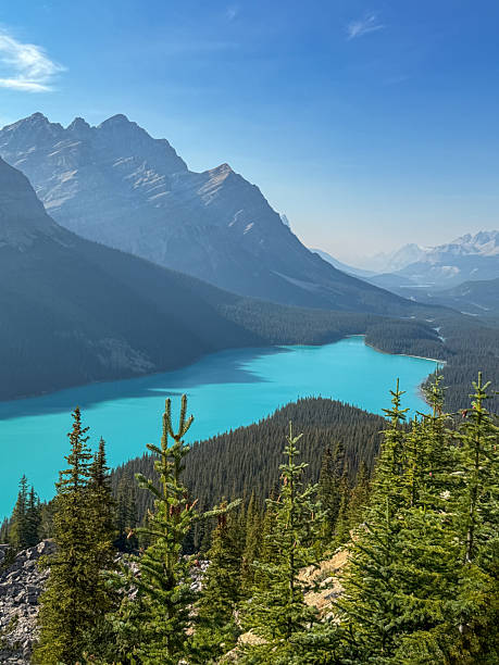 istock Peyto Lake in Banff Canada 2240453025