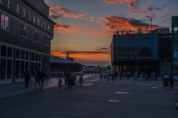 Seattle, USA - Jul 30, 2025: The Seattle Aquarium late in the day.
