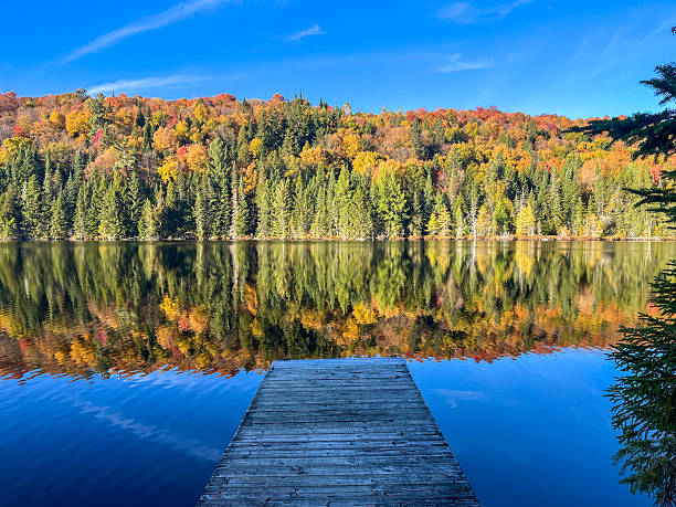 Calm water lake with reflection of the mountain and forest during day of autumn with a pier in foreground