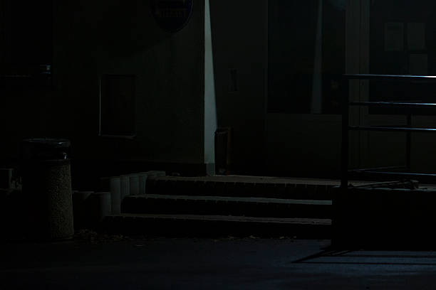 A dimly lit entrance featuring steps at night creating a mysterious ambiance