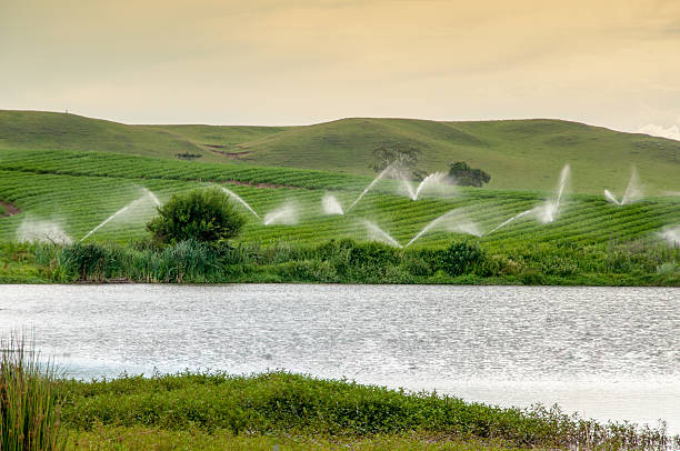 istock Watering the plantation in spring 2240466362