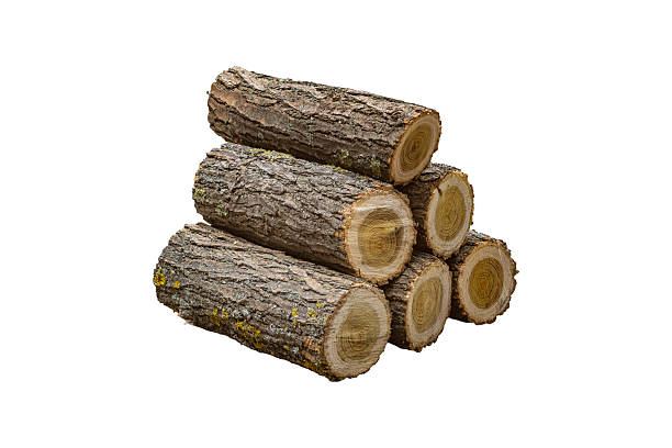 istock Stack of wooden logs with bark is isolated. 2240467299