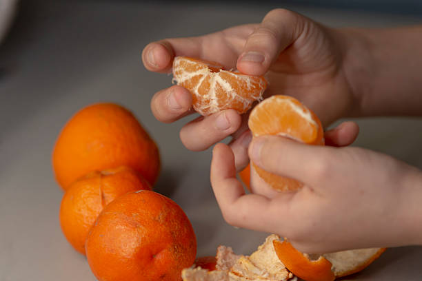 istock A Child Engaging in Peeling Oranges, Creating Freshly Cut Juicy Segments 2240470799