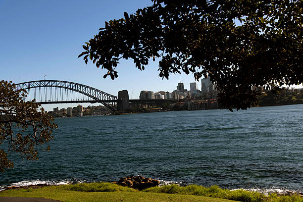 istock Harbour Bridge from Mrs Macquarie's Chair 2240473159