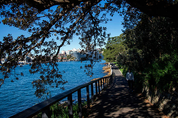 Harbourside Stroll near Mrs Macquarie's Chair