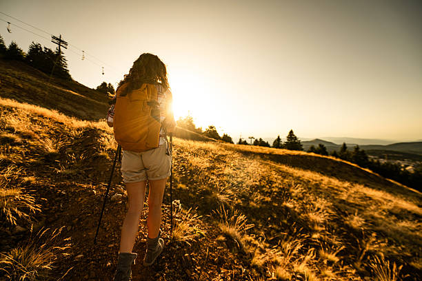 Rear view of female hiker hiking on a hill in nature during a sunset.