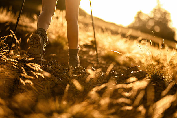 istock Hiker walking on a hill at sunset! 2240488938