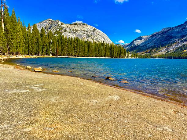 istock Yosemite National Park 2240491199