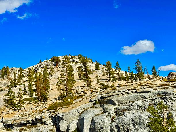 Olmsted Point is a famous vista of the northern side of Half Dome, Tenaya Canyon, and Tenaya Lake on Tioga Pass.