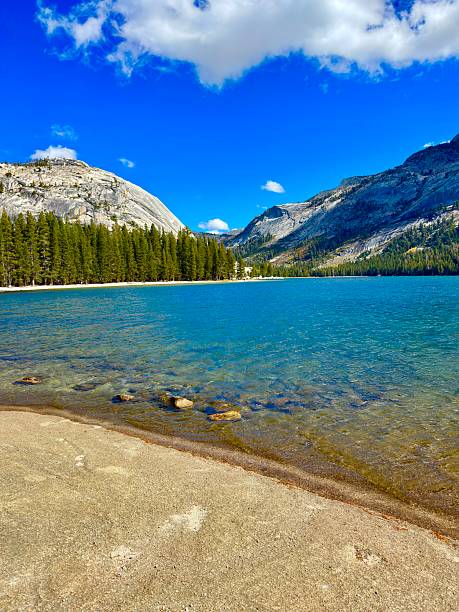 istock Yosemite National Park 2240494016