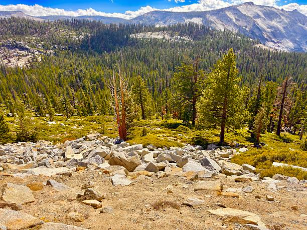 Olmsted Point is a famous vista of the northern side of Half Dome, Tenaya Canyon, and Tenaya Lake on Tioga Pass.