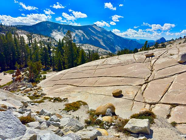 Olmsted Point is a famous vista of the northern side of Half Dome, Tenaya Canyon, and Tenaya Lake on Tioga Pass.