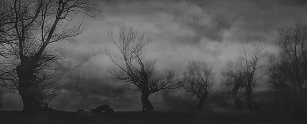 istock Dark autumn landscape showing forest in mist 2240497414