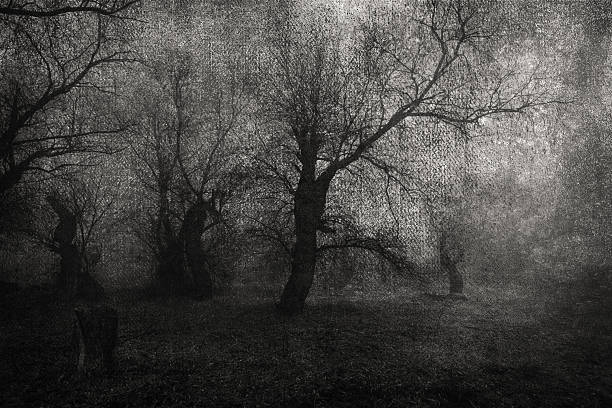 istock Dark autumn landscape showing forest in mist 2240497415