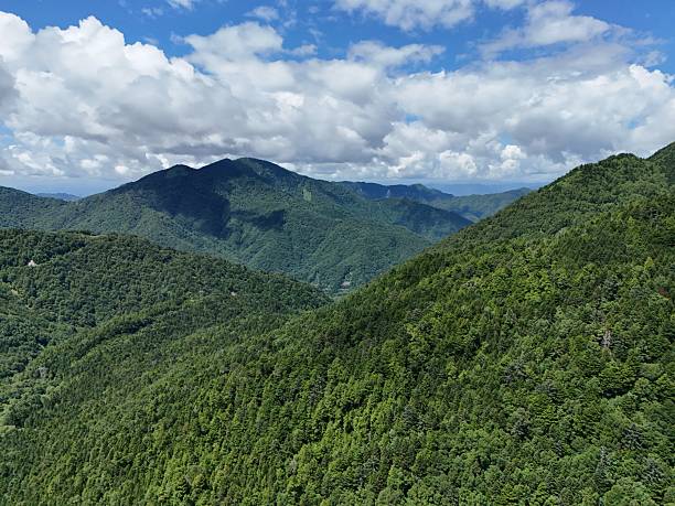 istock A lush green forest with a mountain range in the background 2240500592