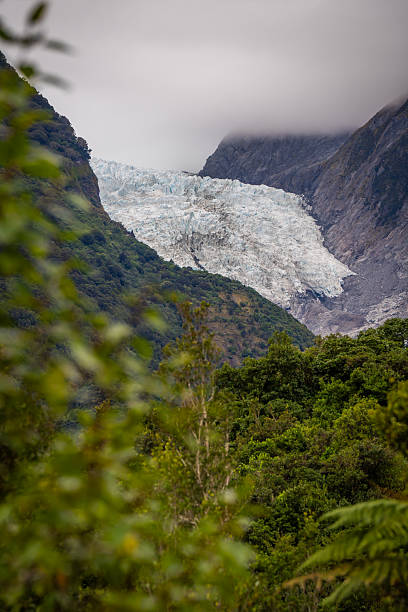 istock Franz Josef glacier New Zealand 2240505653