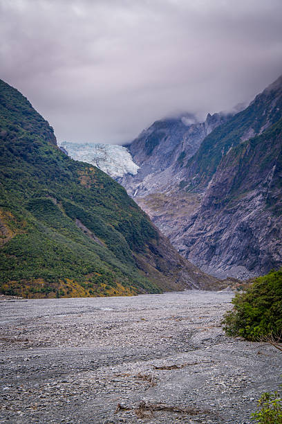 beautiful walking tract in the forest to see amazing glaciers and take photo Franz Josef glacier South Island New Zealand