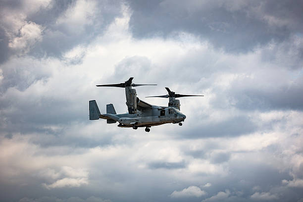 an Osprey flying in a cloud filled sky