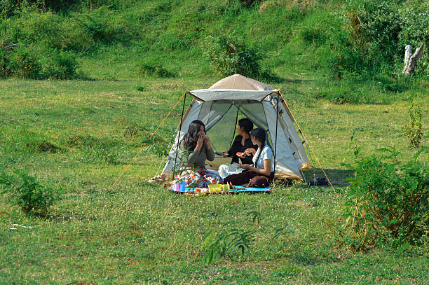 Tent, backpack and camping equipment on green grass in mountains, space for text