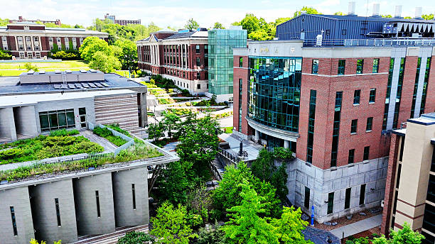 istock Opportunities of Education from SUNY ESF A 2240511741