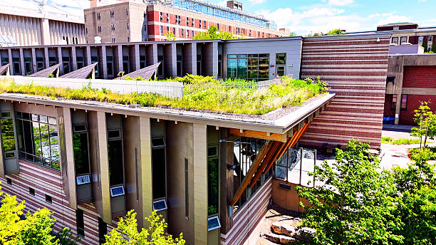 istock Exceptional Design of ESF College Campus II C 2240513337