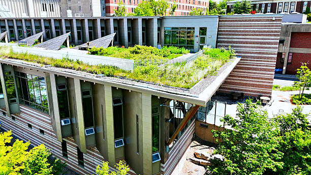 istock Exceptional Design of ESF College Campus 2240513341