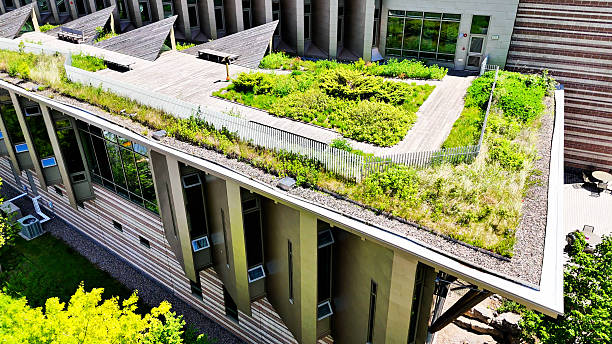istock Sprouting from a Sustainable Education at SUNY ESF 2240513791