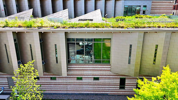 istock Expanding the Scope of Sustainability through Education from an impeccable Campus A 2240513792