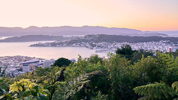 istock Wellington city at dawn 2240515759