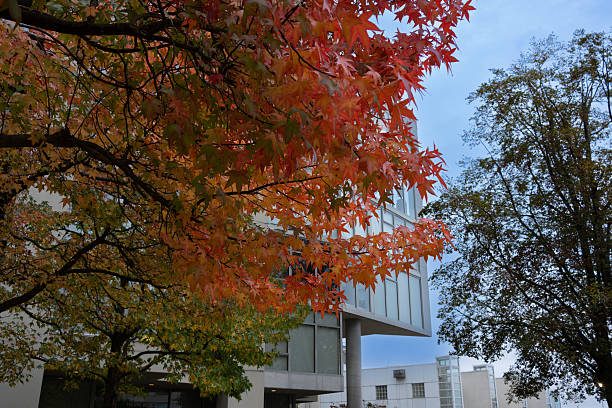 istock Autumn Landscape Collections 2025 2240517273
