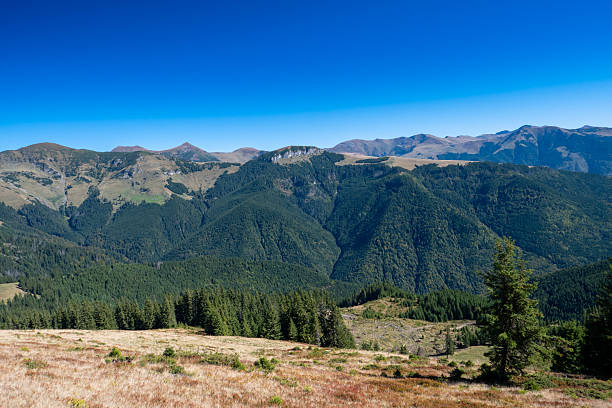 A breathtaking view of rolling mountain hills painted in warm autumn tones, under a clear blue sky. The image evokes feelings of freedom, exploration, and connection with nature — ideal for concepts related to adventure, change of seasons, travel, and natural beauty.