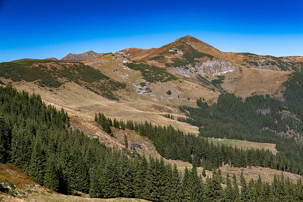 A breathtaking view of rolling mountain hills painted in warm autumn tones, under a clear blue sky. The image evokes feelings of freedom, exploration, and connection with nature — ideal for concepts related to adventure, change of seasons, travel, and natural beauty.