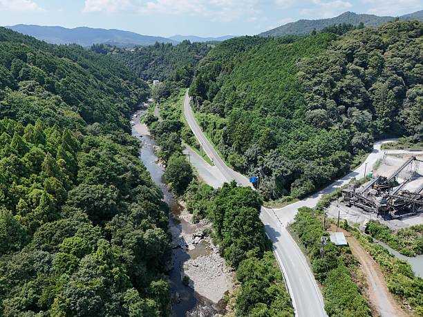 A road runs through a forest with a river on the left side