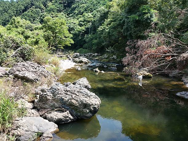 istock A river with a greenish tint and rocks in the water 2240526105
