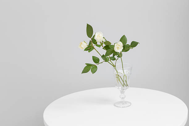 white roses in vase in modern light interior stock photo