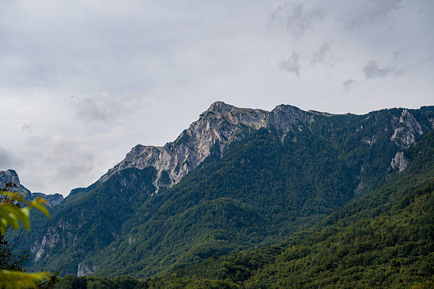 A dramatic mountain ridge towers over densely forested slopes, with layers of greenery leading up to sharp rocky cliffs. The composition captures the grandeur and natural beauty of highland landscapes, ideal for travel and outdoor imagery.